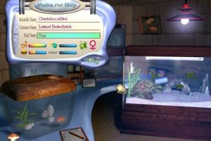 Fishz 6